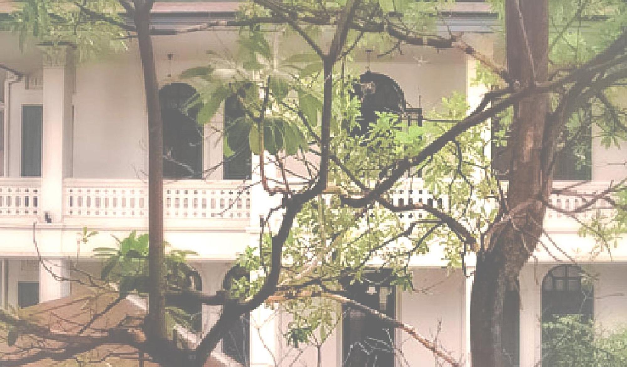 Yesterday Hotel Chiang Mai Exterior foto